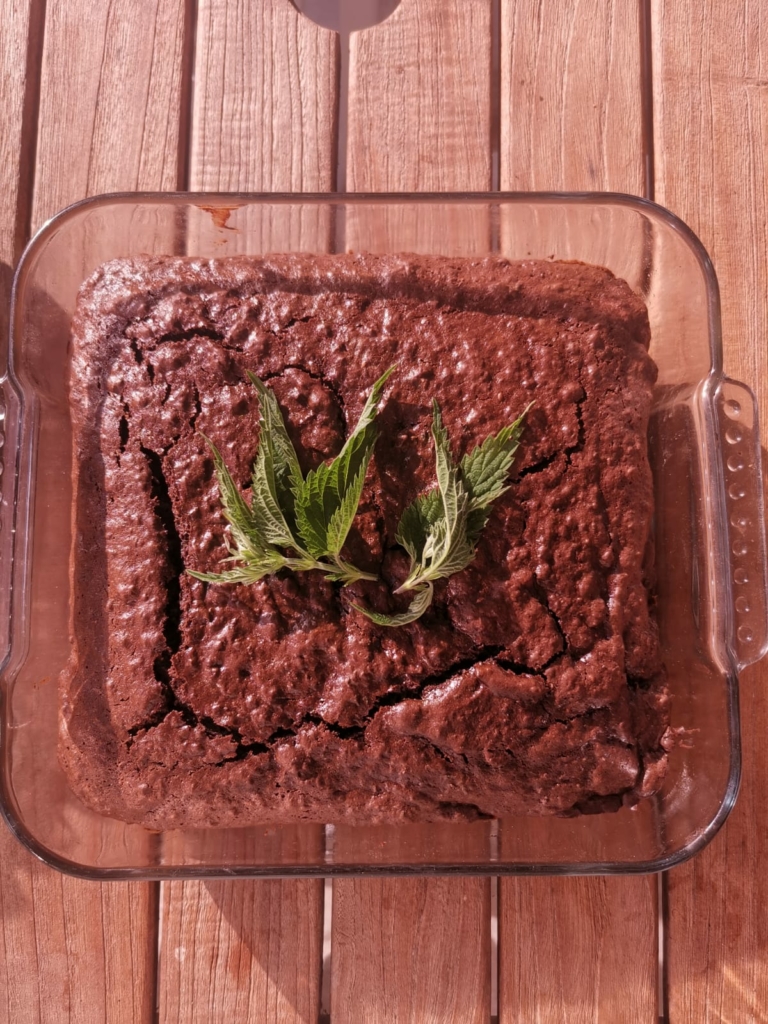 Pourquoi ne pas se laisser tenter par un gâteau à l'ortie au chocolat.